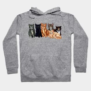 Cute Fuzzy Baby Kittens Hoodie